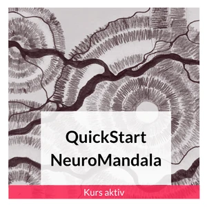 QuickStart NeuroMandala