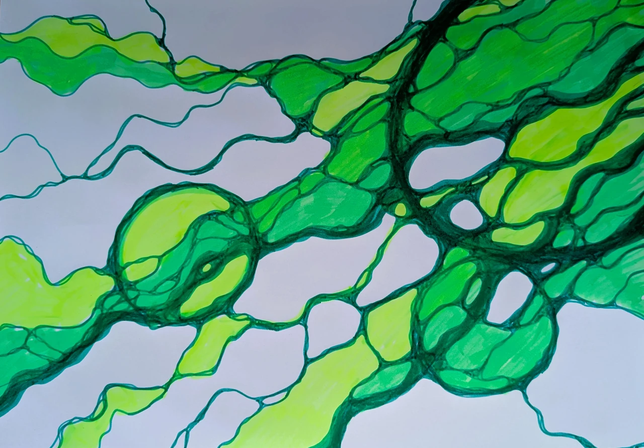 Neurographische Zeichnung aus dem Basiskurs Modell Absichts-Check in Grüntönen